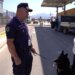 Si stërviten për muaj qentë e njësisë K9 për nuhatjen e drogës, lëndëve plasëse, armëve e parave
