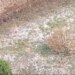 Stuhi breshëri në Elbasan dhe zonat përreth shkakton vështirësi në qarkullim