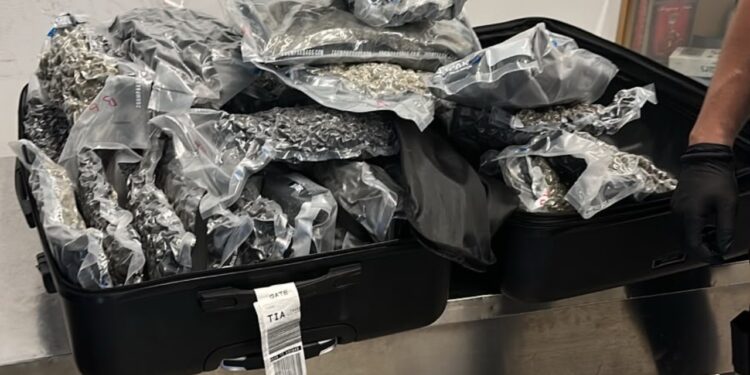 Tentoi të fuste kokainë në Aeroportin Nënë Tereza, zbulohen dy valixhe me 46 kilogramë narkotikë