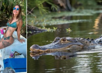 Tragjedi në Florida: 31-vjeçarja vdes pas sulmit të një aligatori 3.7 metrash