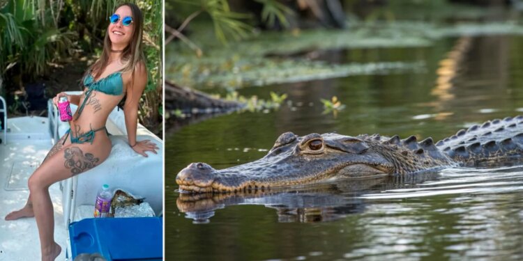 Tragjedi në Florida: 31-vjeçarja vdes pas sulmit të një aligatori 3.7 metrash