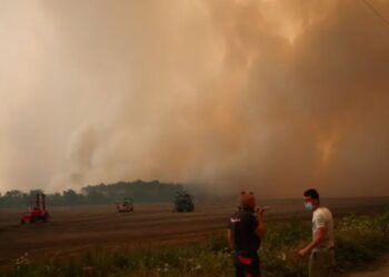 Valë e re të nxehtit në Evropë, zyrtarja e BE-së paralajmëron më shumë zjarre pyjore