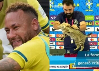 Video/ Eliminimi i Brazilit nga Botërori, fansat sjellin sërish në vëmendje teorinë e mallkimit të maces