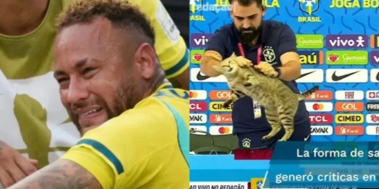 Video/ Eliminimi i Brazilit nga Botërori, fansat sjellin sërish në vëmendje teorinë e mallkimit të maces