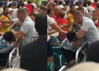 Video/ Kaos në tribunat Angli-Norvegji, fluturojnë grushtet nga tifozi i Argjentinës