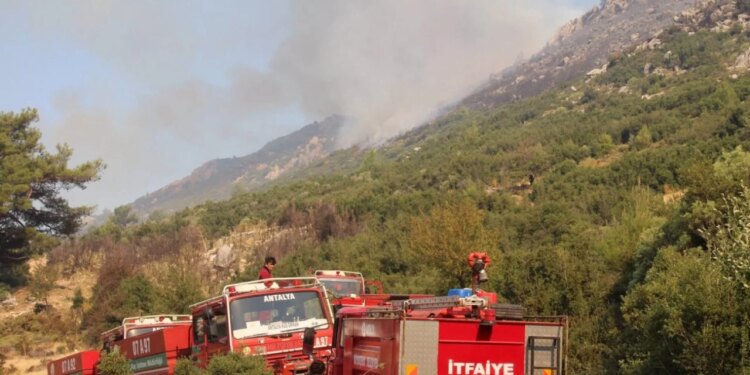 Video/ Zjarri masiv në Antalia të Turqisë, flakët përhapen shpejt nga era e fortë
