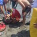 Vrojtuesi i plazhit i shpëton jetën 67-vjeçarit që lahej në Velipojë; doli nga deti në gjendje kritike