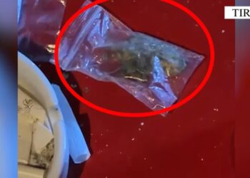 Zbulohet në Tiranë lokali i përdorur për baste sportive dhe drogë; arrestohen pronari dhe një klient