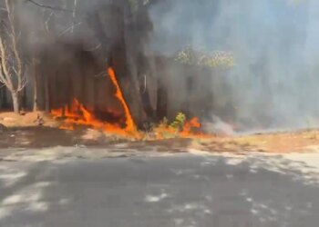 Zjarr i madh në Pyllin e Sodës në Vlorë; tymi mbulon qytetin, zjarrfikësit luftojnë me flakët