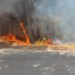 Zjarr i madh në Pyllin e Sodës në Vlorë; tymi mbulon qytetin, zjarrfikësit luftojnë me flakët