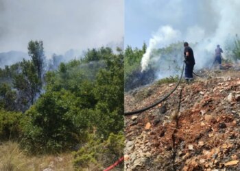 Zjarr i madh në Qafë Thanë, flakët përhapen shpejt për shkak të temperaturave të larta dhe erës