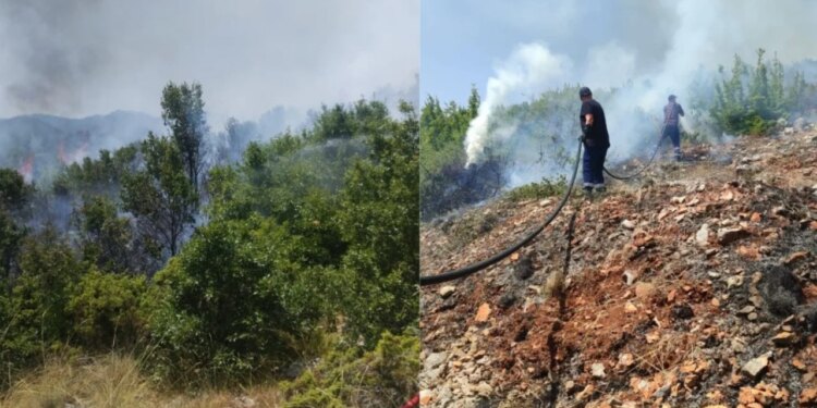 Zjarr i madh në Qafë Thanë, flakët përhapen shpejt për shkak të temperaturave të larta dhe erës