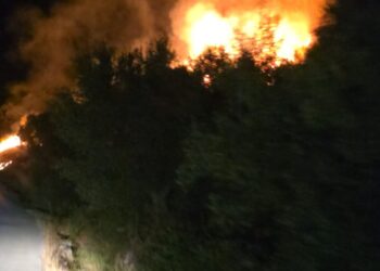 Zjarr në Drenovë të Mallakastrës, flakët përhapen pranë qendrës së fshatit, alarmohen banorët