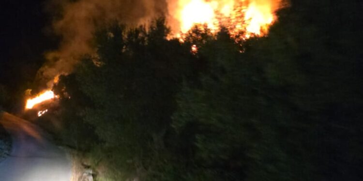 Zjarr në Drenovë të Mallakastrës, flakët përhapen pranë qendrës së fshatit, alarmohen banorët