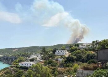 Zjarr në Gargano, Itali: turistët evakuohen në anijet e Rojës-Bregdetare; flakët shpejt përhapen drejt disa zonave të banuara