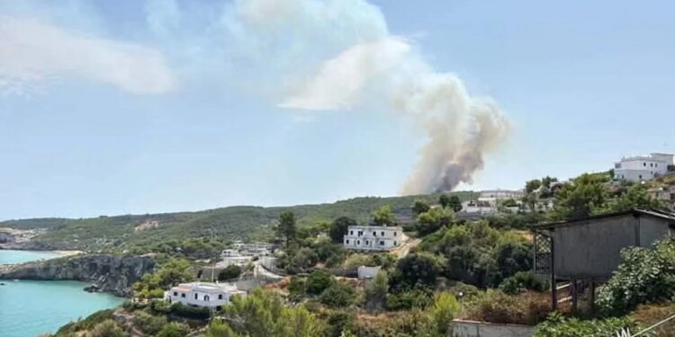 Zjarr në Gargano, Itali: turistët evakuohen në anijet e Rojës-Bregdetare; flakët shpejt përhapen drejt disa zonave të banuara