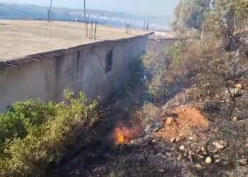 Zjarr në zonën e Ujit të Ftohtë në Vlorë, flakët rrezikojnë banesat, zjarrfikësit në terren monitorojnë situatën
