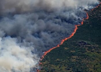 Zjarret dalin jashtë kontrollit në Francë e Spanjë; evakuohen mbi 80 mijë persona, gjendje emergjence pranë Madridit
