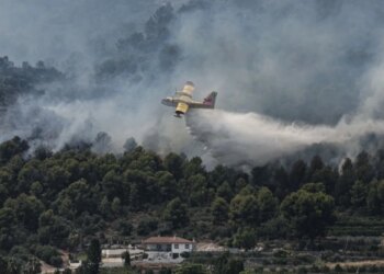 Zjarret ekstreme prekin Evropën, ekspertët: Kontinenti po hyn në një realitet klimatik të ri