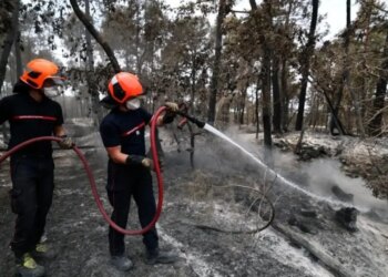 Zjarret shkatërruese në pyjet e Francës, zjarrfikës vullnetar në telashe; dyshohet se nisi flakët