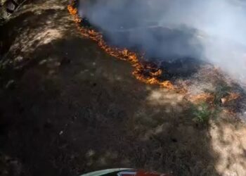 Zjarri përfshin kodrat e Babicës në Vlorë; flakët rrezikojnë banesat dhe djegin ullishte