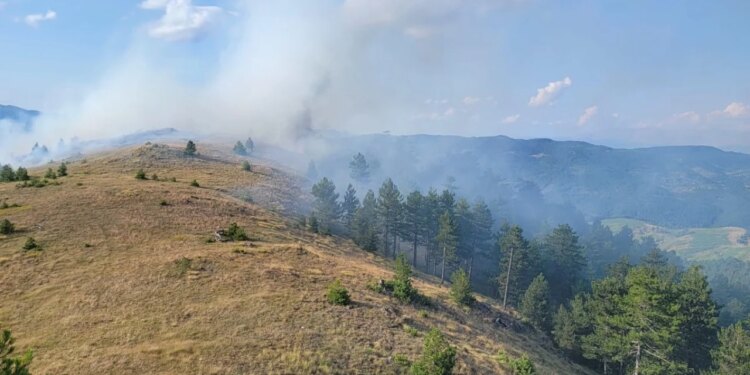 Zjarri përfshin pyllin në Voskopojë; terreni i vështirë pengon zjarrfikësit të intervenojnë pranë vatrës