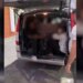 24 emigrantë të paligjshëm tentuan të kalonin ilegalisht në Shqipëri; tre persona arrestohen në aksin Librazhd–Elbasan
