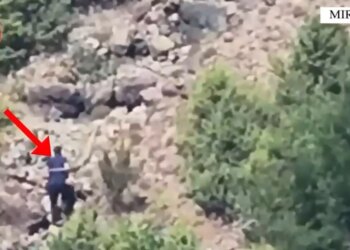 62-vjeçari piroman nuk heq dorë, kapet sërish duke ndezur zjarr në Mirditë, vihet në pranga nga policia