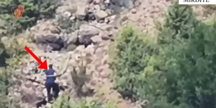 62-vjeçari piroman nuk heq dorë, kapet sërish duke ndezur zjarr në Mirditë, vihet në pranga nga policia