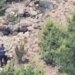 62-vjeçari piroman nuk heq dorë, kapet sërish duke ndezur zjarr në Mirditë, vihet në pranga nga policia