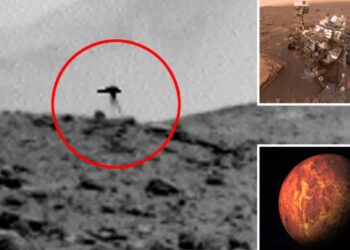A ka jetë në Mars? Foto NASA-s bën xhiron, një krijesë duket të lëvizë mbi Planetin e Kuq