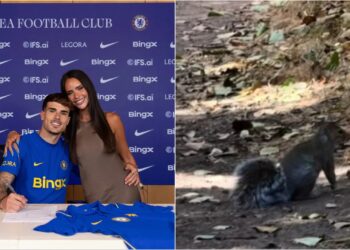 A sulmojnë ketrat? Partnerja e lojtarit të ri të Chelsea-t përballet me situatën dhe kërkon ndihmë ChatGPT-së