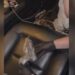 Arrestohet në Maminas person që trafikonte armë zjarri nga Kosova, ndalohet edhe pasagjerja