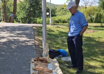 Artizani i drurit në Drilon, mjeshtri nga Elbasani që i ofron pushuesve një copëz tradite shqiptare