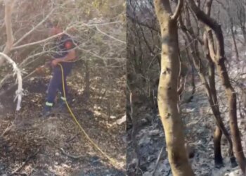 Beteja me zjarret në Mallakastër vazhdon, situata përmirësohet por era rrezikon riaktivizimin e flakëve