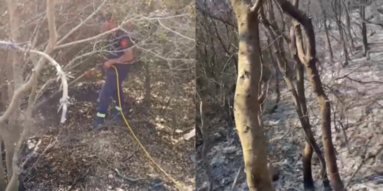 Beteja me zjarret në Mallakastër vazhdon, situata përmirësohet por era rrezikon riaktivizimin e flakëve