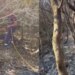 Beteja me zjarret në Mallakastër vazhdon, situata përmirësohet por era rrezikon riaktivizimin e flakëve