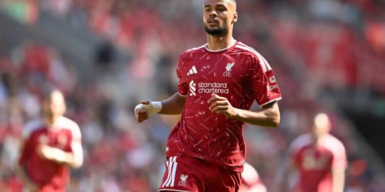 Cody Gakpo largohet nga Liverpool? Media holandeze e sheh tek Tottenham: Arriti akordin personal me Hotspurs