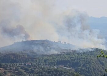 Disa vatra zjarri në Krujë mbeten aktive, era e fortë favorizon përhapjen e flakëve, ndërhyrje toka dhe ajri