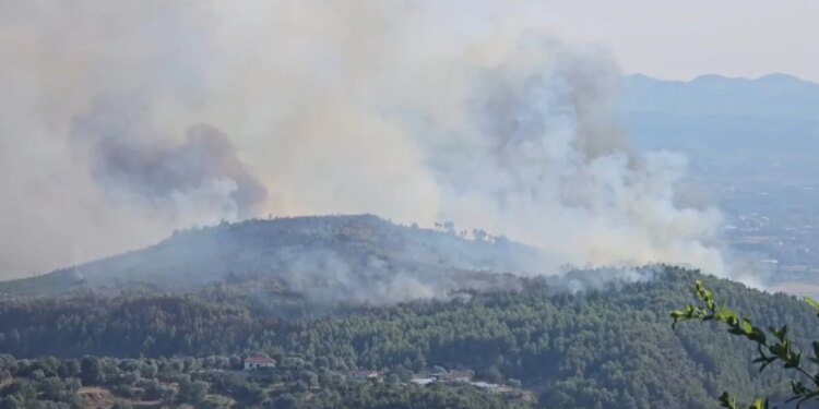 Disa vatra zjarri në Krujë mbeten aktive, era e fortë favorizon përhapjen e flakëve, ndërhyrje toka dhe ajri