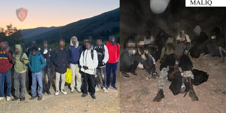Do kalonin ilegalisht drejt Malit të Zi 28 shtetas afrikanë; arrestohen 2 nga Korça, sekuestrohen 6500 euro