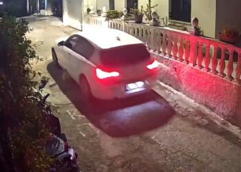 Drejtuesja e automjetit që shtypi për vdekje qenin dhe u largua, arrestohet në Korfuz