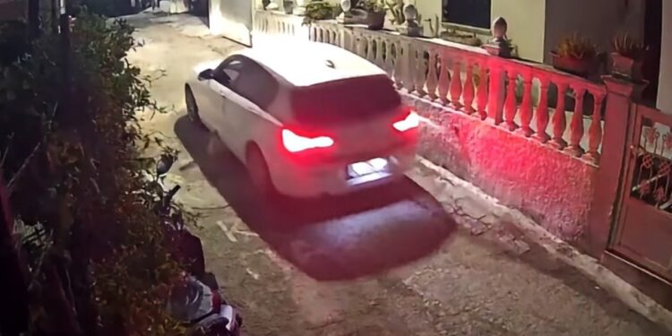 Drejtuesja e automjetit që shtypi për vdekje qenin dhe u largua, arrestohet në Korfuz