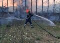 Dy vatra zjarri brenda një dite në Cërrik; flakët rrezikuan banesa dhe një pikë servisi në Shalës
