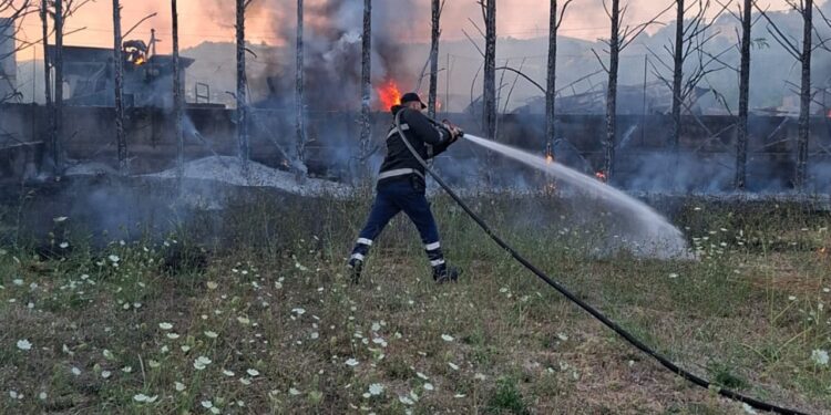 Dy vatra zjarri brenda një dite në Cërrik; flakët rrezikuan banesa dhe një pikë servisi në Shalës