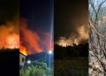 Dyshohet për zjarrin në Krujë; prokuroria urdhëroi lirimin e të moshuarit, pa prova, u gjet duke fikur zjarrin