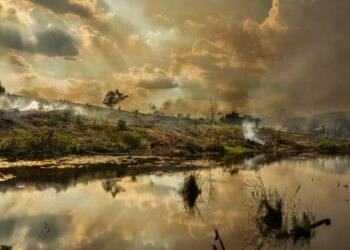 El Niño kërcënon Amazonën, shkencëtarët paralajmërojnë: do të ketë thatësira dhe zjarre të rënda në 2027