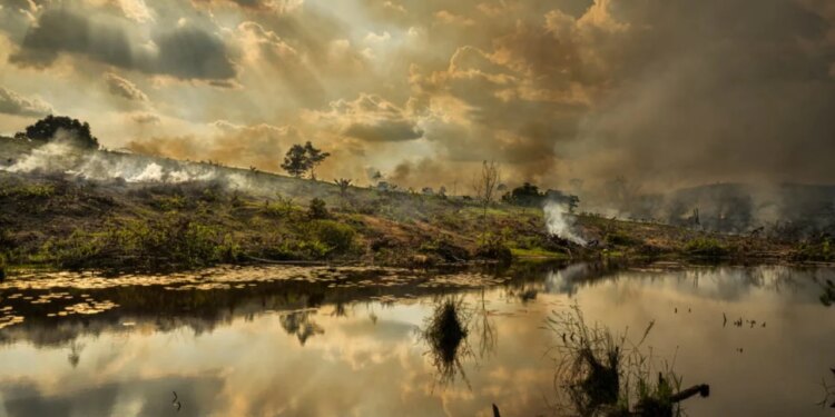 El Niño kërcënon Amazonën, shkencëtarët paralajmërojnë: do të ketë thatësira dhe zjarre të rënda në 2027