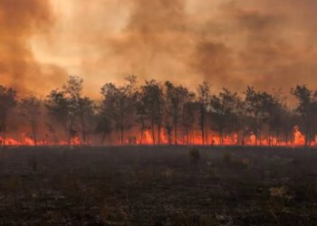 Evropa Perëndimore përvëlohet, thatësira ul prurjet e lumenjve dhe krijon terren për zjarret