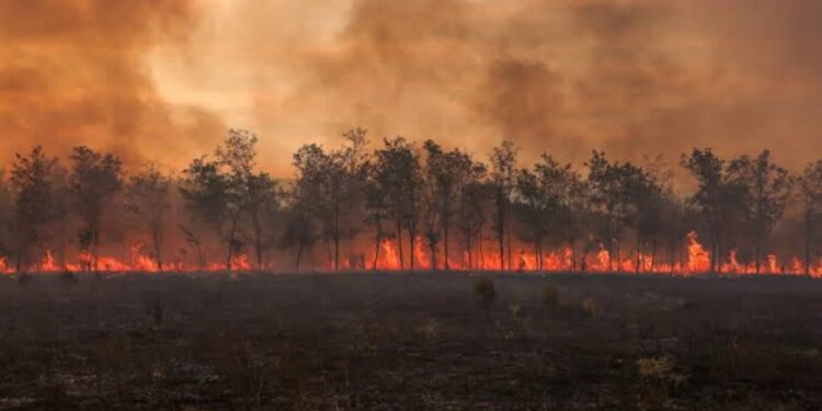 Evropa Perëndimore përvëlohet, thatësira ul prurjet e lumenjve dhe krijon terren për zjarret